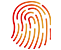 Brand Identity
